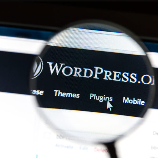 Kuvituskuva, jossa Wordpress logo.